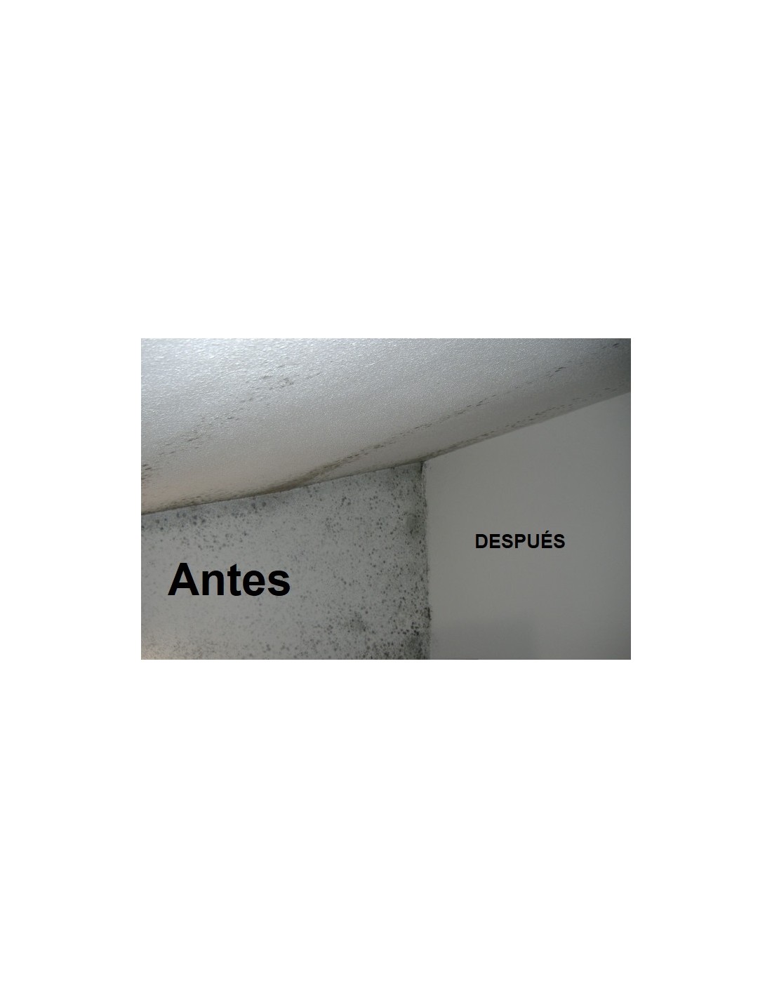 Pintura Térmica Económica de AntiHumedades para el aislamiento térmico y  acústico en las viviendas Envase litros 15 ltrs Color Blanco