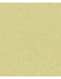 Papel pintado  SN5604 SION...