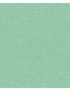 Papel pintado  SN5605 SION...