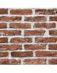 Papel pintado  TX0920...