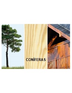 Lasur al agua Mate Fon Tin... 2