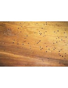 Imprimacion Tratante Plus... 2